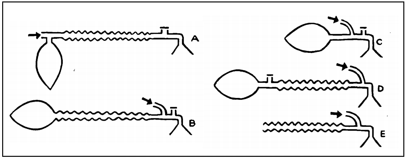 Mapleson Circuit Systems